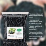 Charcoal for Terrariums Succulents Cactus Orchid & Ornamental Plants Lush Vegetables & Flowers Garden, Abtec, the organic people (1 Kg) - Image 2