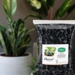 Charcoal for Terrariums Succulents Cactus Orchid & Ornamental Plants Lush Vegetables & Flowers Garden, Abtec, the organic people (1 Kg) - Image 4