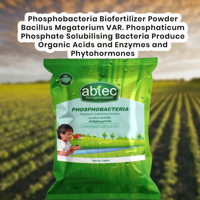 ABTEC Phosphobacteria | Phosphobacteria Biofertilizer Powder Bacillus Megaterium VAR. Phosphaticum Phosphate Solubilising Bacteria Produce Organic Acids and Enzymes and Phytohormones,  abtec, The Organic People - Image 3