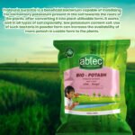ABTEC Bio- Potash Frateuria aurantia | bio Fertilizer Based on a Selective Strain of Potash mobilizing Bacteria, Abtec, the organic people - Image 3