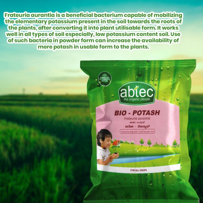 ABTEC Bio- Potash Frateuria aurantia | bio Fertilizer Based on a Selective Strain of Potash mobilizing Bacteria, Abtec, the organic people - Image 3