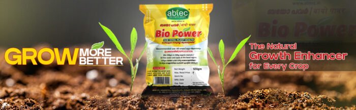 Eco-Friendly Bio Power Powder for Total Plant Health and Increase Crop Productivity - Image 2