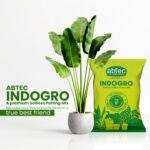 ABTEC Indogro - Premium Soilless Potting Mix For Indoor, Outdoor, and Balcony Plants | Lightweight | Mess-Free | Ready-to-Use. - Image 3
